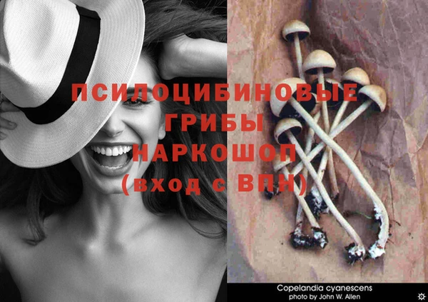 дмт Зерноград